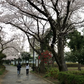 雨の日曜日の画像