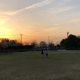 桜咲くの画像