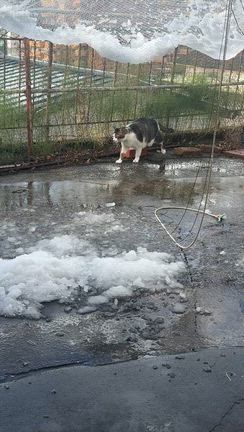 雪景色の記事動画