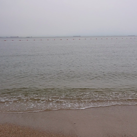 ６月１日は  ぼうず頭デビューですの画像