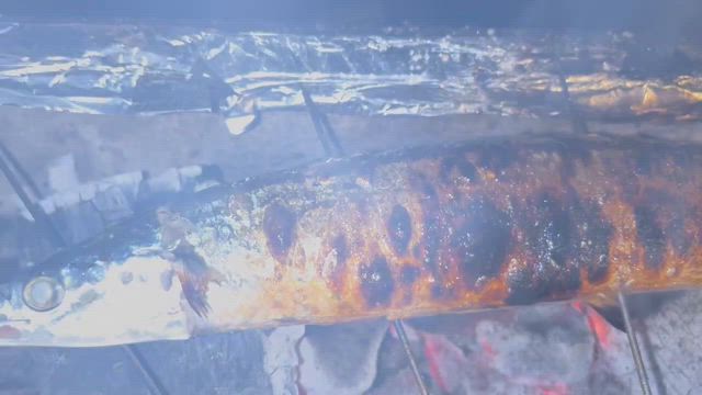函館産天然鯛入荷しました‼️の記事動画