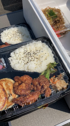お子様お弁当！の記事動画