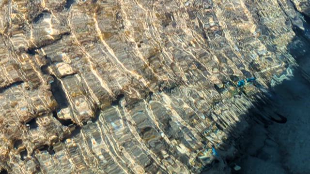 奄美大島の記事動画