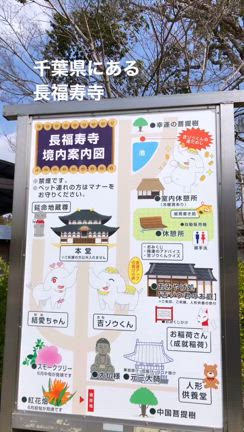 吉ゾウくんのお寺へ参拝しましたの記事動画