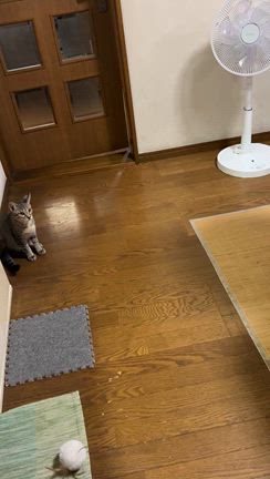 どうも午前中は調子が悪いの記事動画