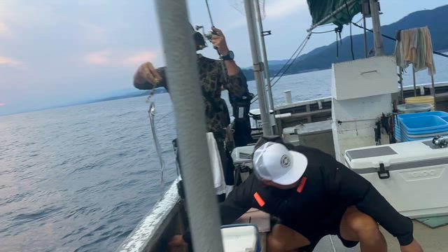 8月1日(土)タチウオ便釣果の記事動画