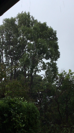 台風19号　我が家の今の記事動画