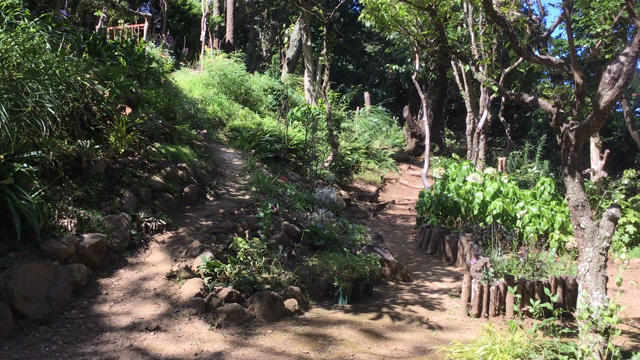 申し訳ございません　我が家は庭で過ごせました(^▽^;)の記事動画