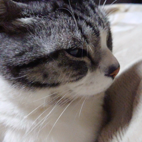 眠いの画像
