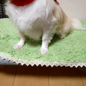 w肉まん(笑)の画像