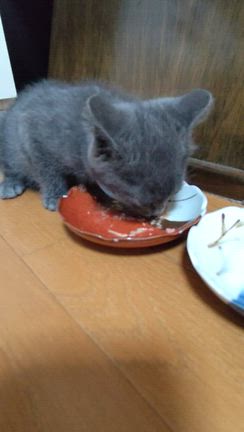 わからないことだらけの記事動画