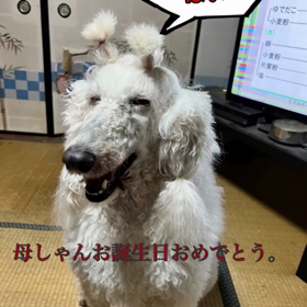 初体験の画像
