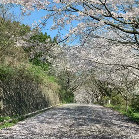 車窓から………の画像