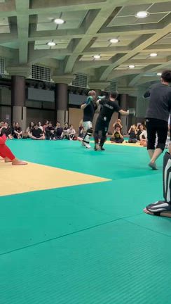 １００人キックの記事動画