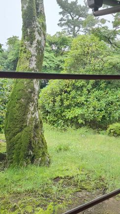 貴賓館　箱根の記事動画