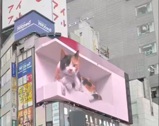 新宿のねこ　の記事動画