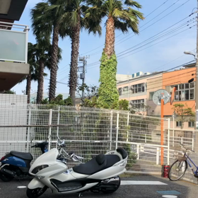 風が…の画像