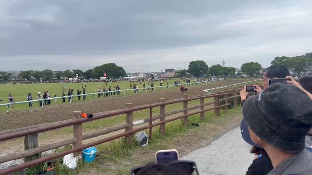 今年も…の記事動画