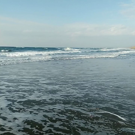 お久しぶりです(^0^;)の記事動画