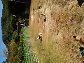 自主トレの記事動画