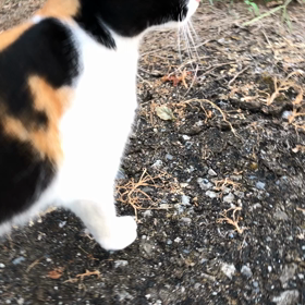 2020/09/14の画像