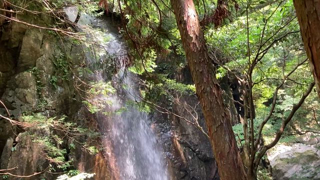 セクシーな桃と引き込まれる滝（不動明王）の記事動画