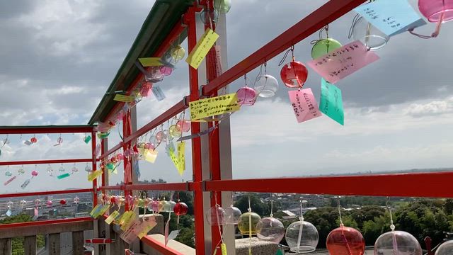 祈りと食と桃スイーツたち（水無神社・成田山名古屋別院・桜山八幡宮・相応院・手力雄神社）の記事動画