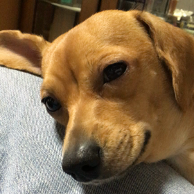 初の寝落ち動画の画像