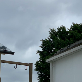 梅雨空の鶯の画像