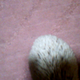 鬼ごっこできるハリネズミの画像