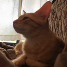 2018年10月21日の画像