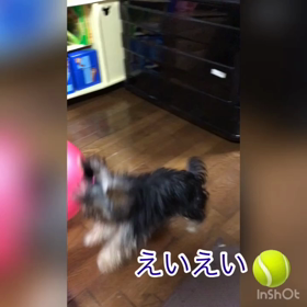 オフ会が終わって家に着いたらの画像