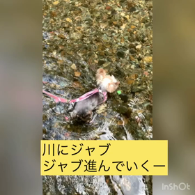 くるみの画像