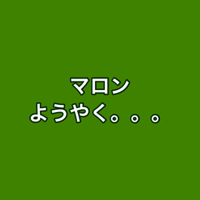 その後のマロン (今日のマロン2)の画像
