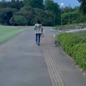 GWの画像