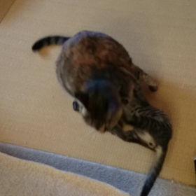 抱え込み！の画像