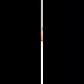 2024/10/16の画像