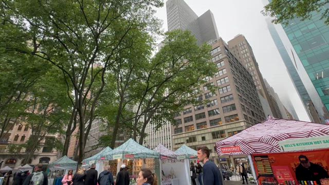 NYCへの旅2-3☆の記事動画