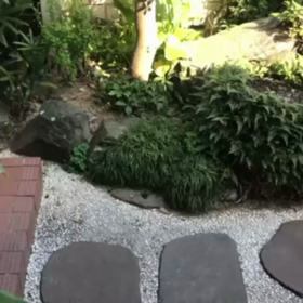 久しぶりの画像