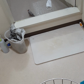ことりさん、風呂の床のみずをのむの画像