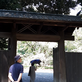 六義園の画像