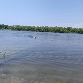 久し振りに彩湖への画像