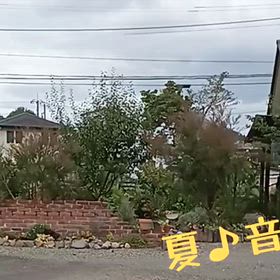 夏の終わり♬の画像