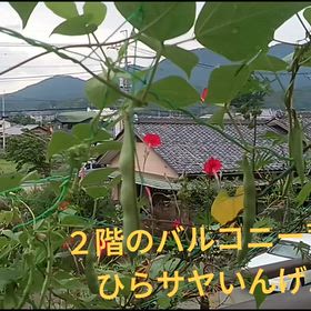 人はパンのみにて生きるに非ず!!・・・だけれど(^o^)の画像