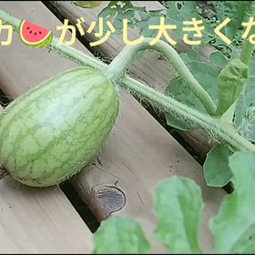 画面に出る!?のは、やっぱり!!ダメだ(^o^)の画像