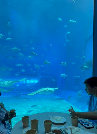 美ら海水族館「オーシャンブルー」有料席と無料席の違いは？予約・料金・メニューも紹介の記事動画