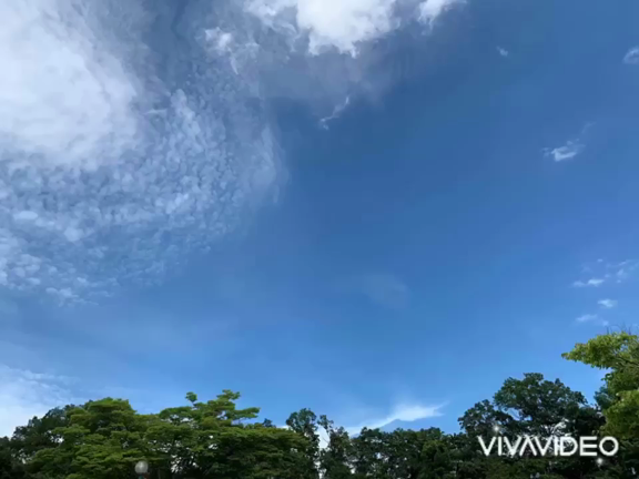 【TOLマインドフルネス呼吸法】イメージ動画初めて作りました！の記事動画