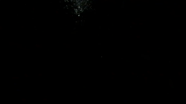 ＊農ガール＊の記事動画