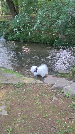 ひさしぶり❤和気あいあい公園で朝んぽの記事動画