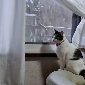 おはようございますの画像